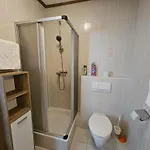 Downtown-central Aleks Apartment Bad Kleinkirchheim